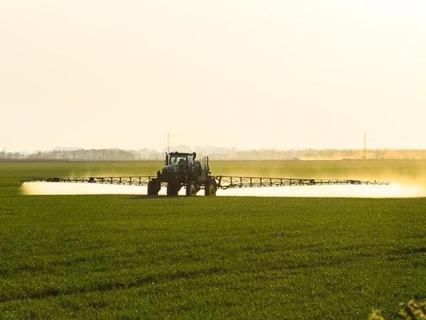 ¿Cuál es el principio de funcionamiento del auge agrícola?